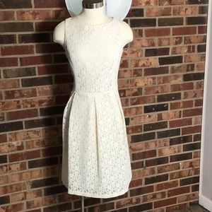 NWT. Jones wear cream lace fully lined dress 14